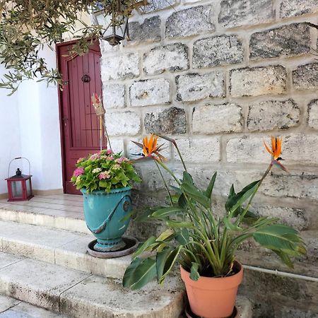 Charmant Appart Avec Jardin Aigues-Mortes Eksteriør billede